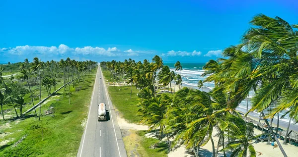 Beautiful Caribbean road with palm trees along the coast of Venezuela, road happy tucacas, Aerial view