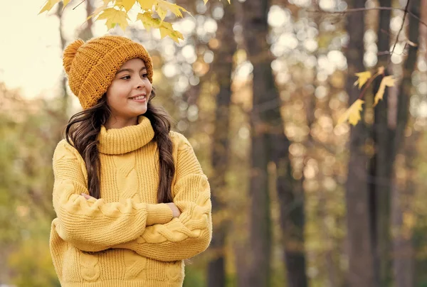 Sonbahar güzeli. Çocuk parkta doğanın tadını çıkarıyor. Sonbahar eğlence zamanıdır. Çocuklar için sonbahar modası. Sonbahar tarzı çocuk. Örgü seni her havada ısıtır. Sarı örgü kazak ve şapkalı kız.