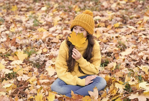 Otoño dorado. Niño pequeño mantenga hoja de arce cambiando de color. Niña disfrutar jugando con el follaje de otoño. Feliz temporada de otoño. Moda tendencias otoñales — Foto de Stock