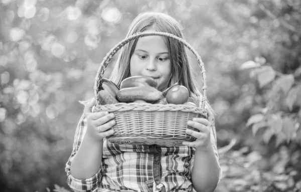 Так цікаво. здорове харчування для дітей. маленька дівчинка овоч у кошику. Тільки натуральні. дитина на літній фермі. Органічна їжа. зібрати вітамін. весняний ринок саду. щасливий маленький фермер. осінній урожай — стокове фото