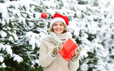 Aralık atmosferi. Doğa karla kaplı. Yeni yıl. Mutlu noeller. Kız Noel 'i kutluyor. Kış tatili konsepti. Kadın sıcak giysileri, karlı orman. Boks günü. Marketten noel ağacı toplamak