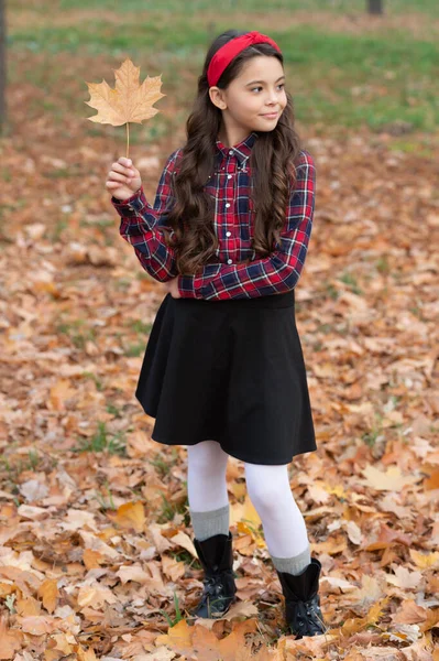 Vidám gyerek iskolai egyenruhában tartja őszi juharfalevél szabadban, ősz — Stock Fotó