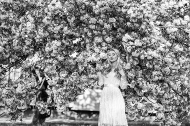 Aroma konsepti. Sakura ağacı çiçek açıyor. Sakura mevsimi. Yumuşak bir koku. Mevsimsel alerji. Çiçeklerde kaybolmuş. Kiraz çiçekli kız. Bahar modası. Sakura çiçeği açan kadın. Bahçedeki sarışın kadın.