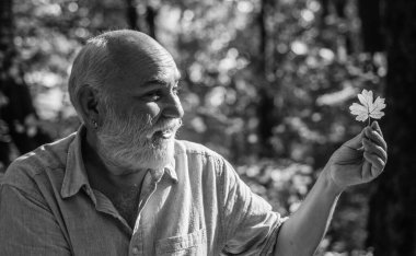 Düşmüş yaprak. Emekliler sonbahar yapraklarını dışarıda tutarlar. Yaşlı adam ormanlık alandaki sarı yaprağa bakıyor. Yaprak rengi değişiyor. Mevsimsel değişim. Sonbahar doğası. Doğal güzellik.