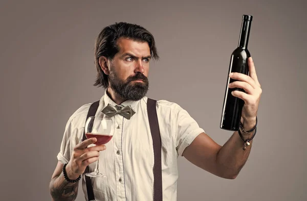 sexy handsome man in bow tie drinking wine, Luxurious lifestyle