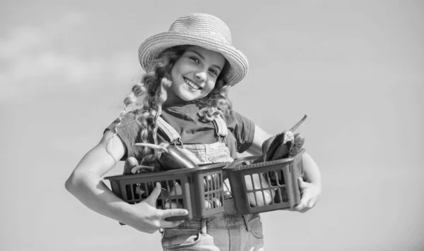 Village rustic style. Vegetables market. Sunny day at farm. Selling homegrown food concept. Natural vitamin nutrition. Organic vegetables. Girl cute child farming. Gathering vegetables in basket — Stock Photo, Image