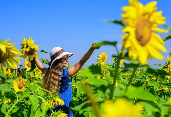 Carefree girl surrounded sunflowers enjoying her life — Stock Photo, Image
