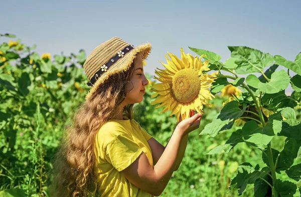幸せな子供時代。美しい女の子はフィールドでわら夏の帽子を着用します。可愛い花の子。夏の自然の美しさ。ひまわり畑の女の子。ひまわりの黄色の花。自然の美しさ — ストック写真