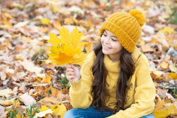Natural beauty. fall season fashion. portrait of teen girl in hat hold autumn leaf. — Stock Photo, Image