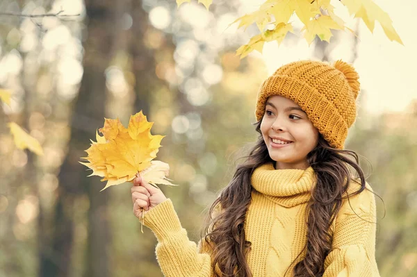 Gyönyörűnek maradni minden évszakban. A gyerek őszi levelet tart. gyerek ruhák divat. Szépség stílus. boldog lány pihenni ősszel természet. Egy kislány kötött sapkát és pulóvert visel. gyermek élvezze őszi időjárás erdőben — Stock Fotó