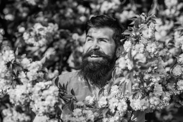 Tavaszi szünet. Csatlakozz a tavaszomhoz. Természetes szépség. Jóképű szakállas férfi a szabadban. Hipster cseresznyevirágban. Egy ember Sakura Blossom-ban. Tavaszi rózsaszín virágok. Hétvége a kertben koncepció. Április események — Stock Fotó