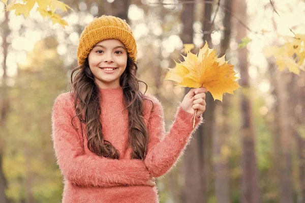 Tinédzser lány nyugi a parkban. őszi szépség. Élvezd a napot az erdőben. A kölyök sárga juharfaleveleket rendez. Ősszel kötött divat. Az inspiráció romantikus évszaka. boldog gyermekkort — Stock Fotó