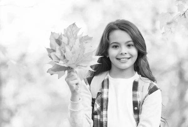 Felfedezni a világot. szezonális időjárás. Gyerekkori boldogság. szépség és természet. boldog gyerek alkalmi stílusban. Egy tini lány viszi a hátizsákját az iskolába menet. gyermek az őszi erdőben. őszi juharlevél a parkban — Stock Fotó
