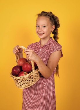 Çocuk beslenme ve diyet yaparken doğal vitamin yemek için sağlıklı elma meyvesi tutar.