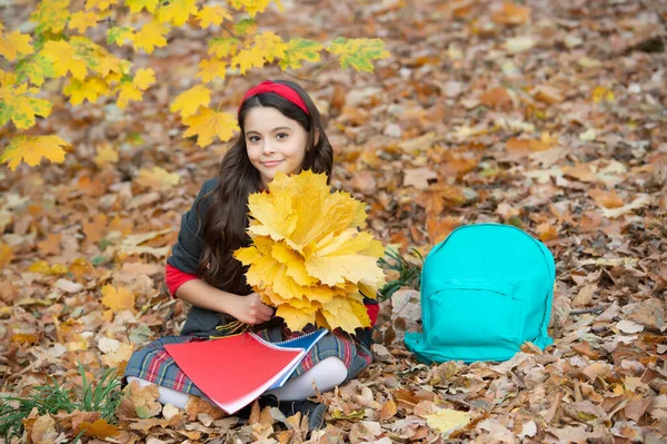 微笑的少女抱着秋天的枫叶，背着书包和练习本，走在户外，上学 — 图库照片