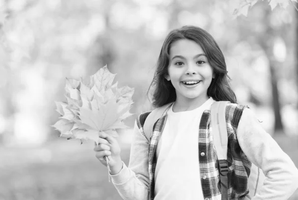 Sonbahar ormanında düşen akçaağaç yapraklarıyla oynayan mutlu genç kız güzel mevsimlik doğa çantasıyla okula geri dönüyor. — Stok fotoğraf