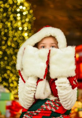 Tatile hazırım. Ağaç ve hediyelerle dolu yeni yıl sahnesi. Tatil partisini kutlayalım. Küçük kız Xmas online alışveriş yapıyor. Noel hediyelerini teslim et. Altında hediyeler olan güzel dekore edilmiş bir oda.