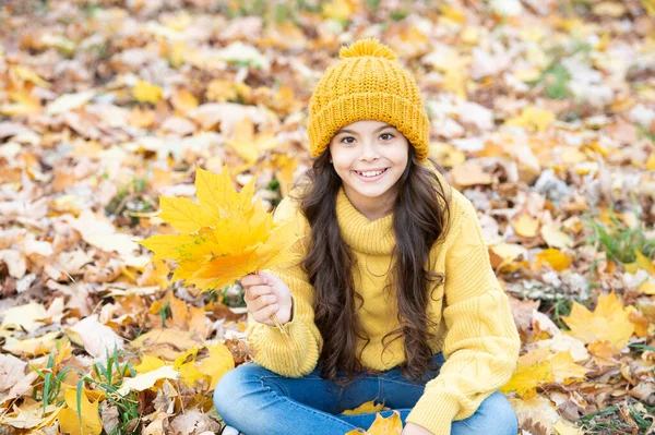 Усміхнена дитина розважається з жовтим кленовим листом на природному тлі. осінній характер . — стокове фото