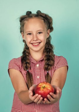 Sonbahar, sonbahar hasadından toplanan vitamin dolu elmalarla dolu mutlu genç bir çocuk.