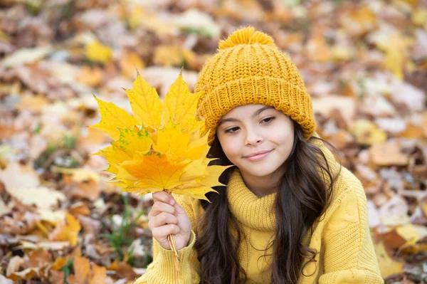 Wesoły dzieciak w żółtym kapeluszu trzymać klon liść zewnątrz w parku, jesień — Zdjęcie stockowe