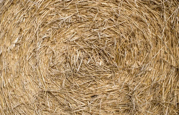 Straw background — Stock Photo, Image