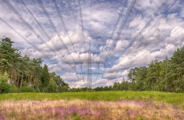 elektrik direkleri, mavi gökyüzü ve heide çiçekler, yeşil çimen, yatay