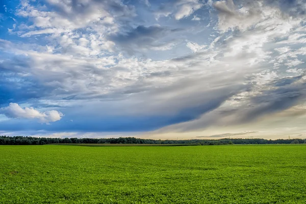 Piękny krajobraz, Zielona trawa, pole — Zdjęcie stockowe