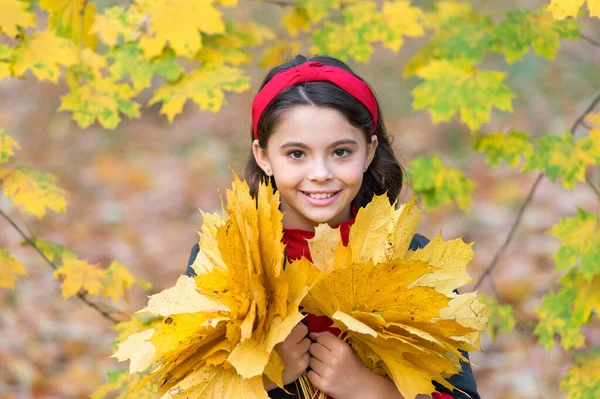 Щаслива дитина жменька жовтого кленового листя в парку, осінній час — стокове фото