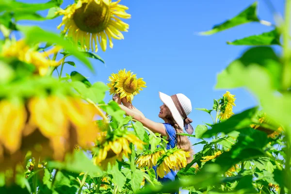 Unbekümmerte Mädchen umgeben von Sonnenblumen genießen ihr Leben, Harmonie und Wohlbefinden — Stockfoto