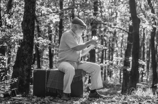 Großvater mit einem alten Koffer in der Natur. Vereint mit der Natur. Wochenende in der Natur. Urlaub und Entspannung. Rentenkonzept. Ältere Menschen. Reifer Mann mit weißem Bart im Wald. Hobby und Freizeit — Stockfoto