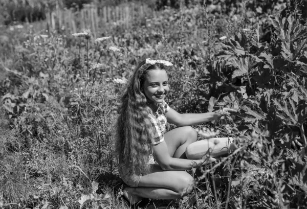 Menina criança pequeno agricultor orgulhoso com colheita, abóbora amarela — Fotografia de Stock