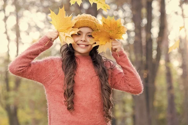 Enfant d'automne en bonnet tricoté élégant et pull chaud profiter de la journée dans la forêt tenant des feuilles d'érable jaune comme symbole de la saison d'automne, enfance heureuse — Photo