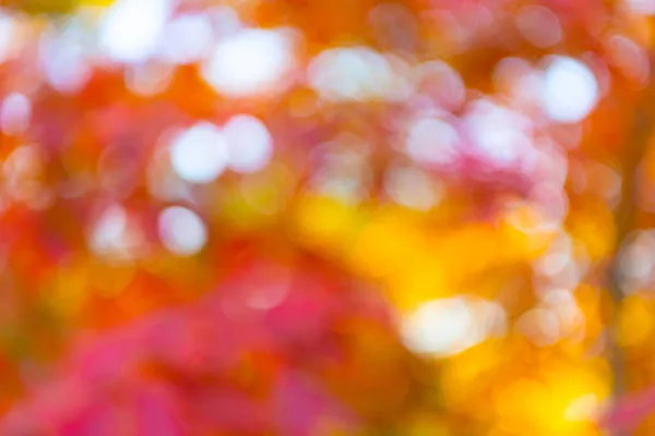 Herbst defokussierte Natur. Hintergrund der Herbstblätter verschwimmen. Unfokussierte bunte Jahreszeit. — Stockfoto