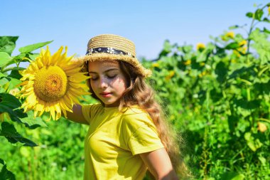 Küçük kız ayçiçeği tarlası mavi gökyüzü arka planı, köyde çocukluk.