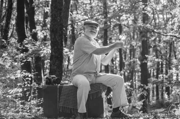Pensionärsresor och hobbyer. Senior man slappna av i höst trä. Pensionerad person njuter av frisk luft på höstlandskapet. Han samlar på lönnlöv. Naturen kallar. njuta av hösten eller hösten väder — Stockfoto