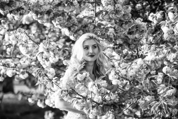 Bahar sembolü Kız bahçedeki sakuranın tadını çıkarıyor. Şefkat ve kadınlık. Kiraz ağacı. Çiçek aroması. Çiçeklerin kadınları mutlu etmesinin nedenleri. Dinlen ve tatil yap. Bahar çiçeği. Mutlu bahar günleri.