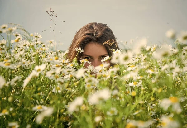 カモミールフィールド、夏の美しさの美しい若い女性 — ストック写真