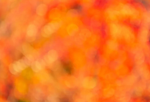 Nebelige Herbstblätter. verschwommener Bokeh-Hintergrund. Herbstliche Defokussierung. — Stockfoto