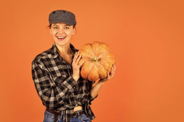 Şuna bir bak. kopyalama alanı. Hasat zamanı. Sarı olgun balkabağı. Balkabaklı Şükran Günü. Su kabağı olan klasik bir kadın. Yiyecek ve hasat. Mutlu kadın kareli gömlek ve şapka. Teşekkür et.
