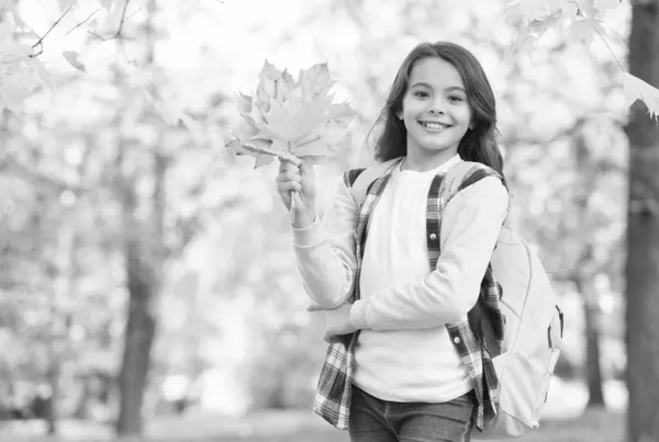 秋のキッズファッション。インスピレーションのためのロマンチックな季節。幸せな子供時代。学校に戻って。バックパック付きの10代の女の子は公園を歩いてリラックス。秋の美しさ。森の中で一日を。秋の森 — ストック写真