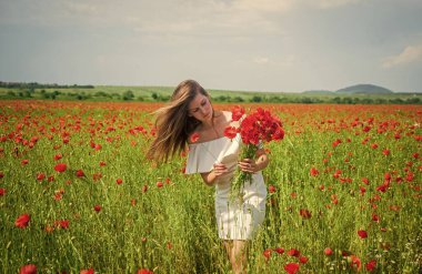 Güzel bir kadın tarlada kırmızı gelincik çiçeği buketi topluyor. Yaz ya da bahar doğası. mevsimlik güzellik manzarası. Beyaz elbiseli genç kız çayırda yürüyor. Tatil. Özgürlük duygusu