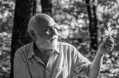 Neşeli olmaya devam et. Emekliler güneşli bir sonbahar gününde ormanda yürüyüş yapıyor. Mutlu adam sonbahar doğasının tadını çıkarır. Yaşlı sakallı adam yaprak topluyor. Sakallı büyükbaba ormanda dinleniyor. Basit şeylerdeki güzelliği gör