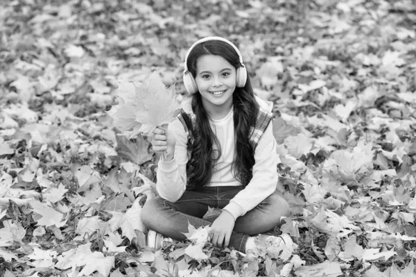 Dia de outono perfeito de criança alegre ouvir áudio livro ou música usando fones de ouvido no parque temporada de outono jogar com folhas de bordo caídas amarelas, educação escolar on-line — Fotografia de Stock