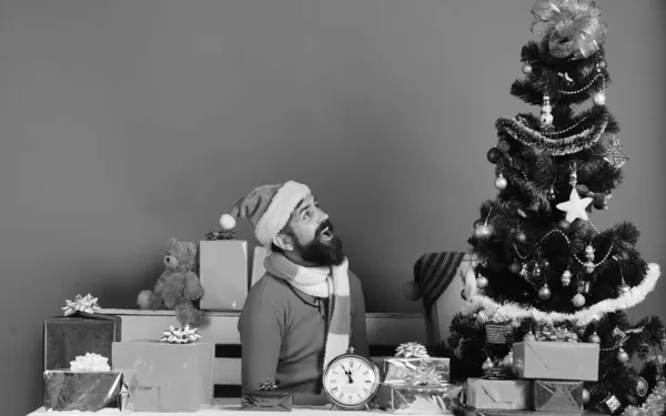 Noel Baba mavi arka planda köknar ağacının yanında oturuyor. — Stok fotoğraf