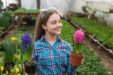 Seçenek. Bahar ve yaz. Saksı bitkileri ekiyorum. Çocuk bahçıvanı. Bahçedeki çiçekler.