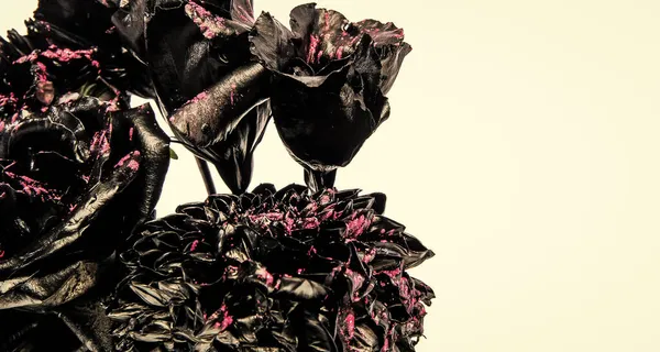 Ramo negro de flores naturales quemadas aisladas en el espacio de copia blanca, rosas — Foto de Stock