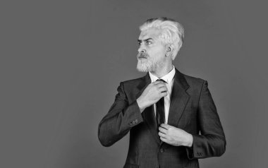 şık giyimli patron tımar ediyor. Resmi giyimli iş adamı. Takım elbiseli bir iş adamı. Kendine güvenen sakallı adam. Başkan portresi. Hippi sakallı. Profesyonel ofis yöneticisi. Bugün şık hissediyorum.