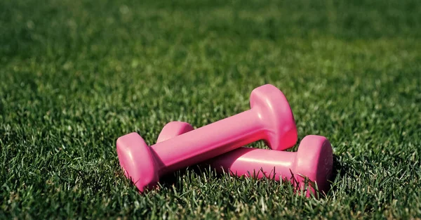 sport tool and equipment. dumbbells outdoor green lawn. fitness. healthy lifestyle. weight lifting and training. ready for workout in park. barbells on green grass