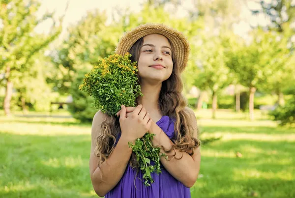 Menina com buquê de erva St. Johns recém-escolhido — Fotografia de Stock