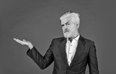 Profesyonel ofis yöneticisi. Ürün sunumu, kopyalama alanı. İş büyümesi. Resmi giyimli iş adamı. Takım elbiseli bir iş adamı. Kendine güvenen sakallı adam. Başkan portresi. hippi boyalı sakal kılı